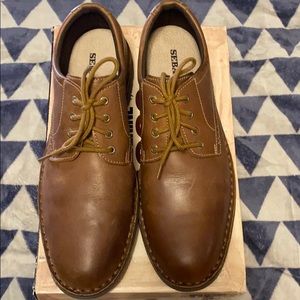 Sebago brown dress shoe